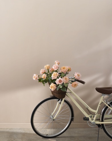 Painted walls with Chocolate Mousse 1025