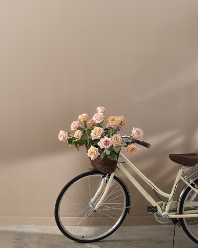 Painted walls with Broken Arrow 1026