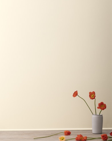 Painted walls with Wood Ash 1065