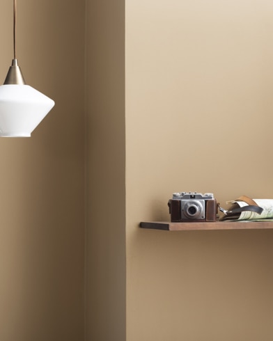 Painted walls with Capilano Bridge 1076