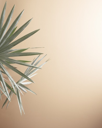 Painted walls with Creamy Satin 1087