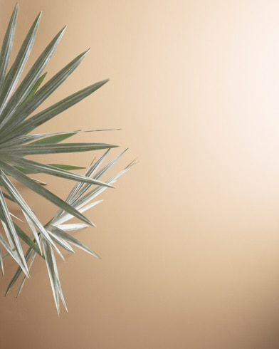 Painted walls with Home Sweet Home 1088