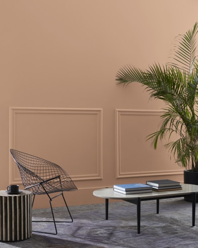 Painted wall with Chadwick Brown 1160