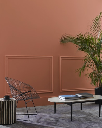 Painted wall with Burnt Sienna 1196