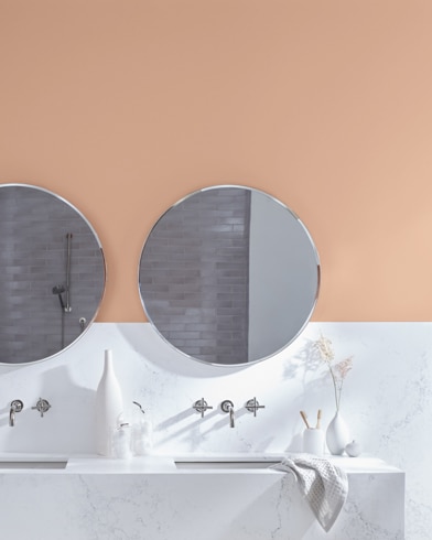 Painted wall with San Carlos Tan 1207