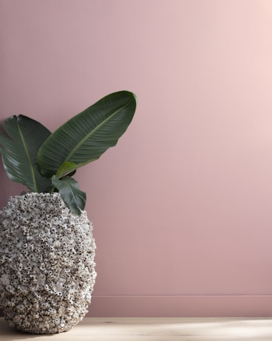 Painted wall with Mauve Mist 1264