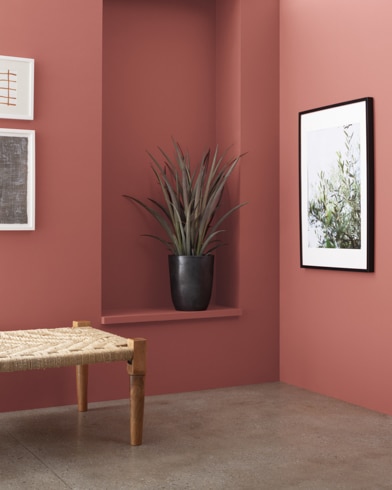 A wooden bench in front of a Potters Wheel-painted wall with art and an inset shelf featuring a houseplant.