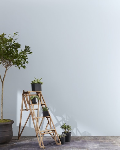 Painted wall with Violet Mist 1437