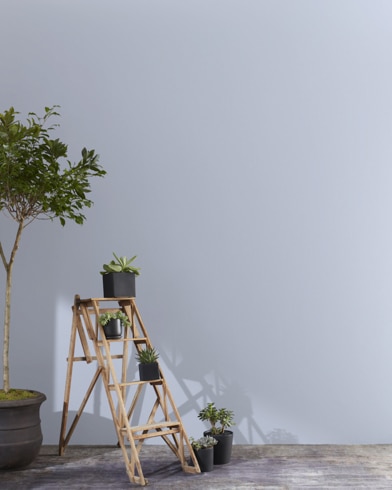 Painted wall with Lavender Blue 1438