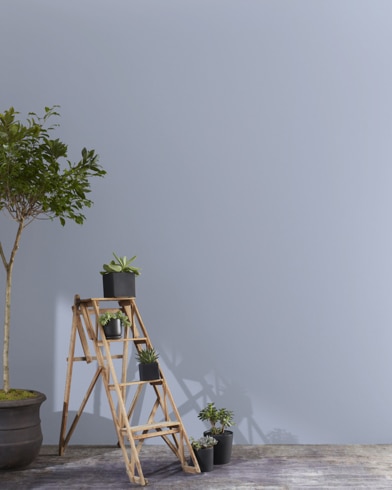 Painted wall with Yukon Sky 1439