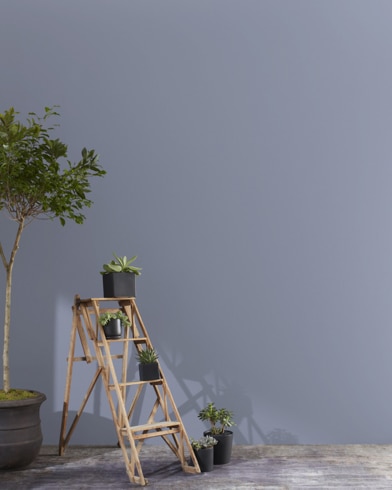 Painted wall with Irises 1440