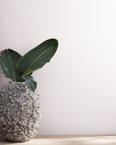 Painted wall with Raindrops on Roses 1443