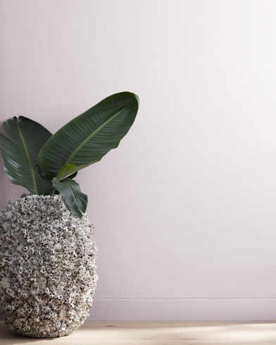 Painted wall with New Age 1444