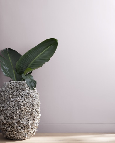 Painted wall with Piano Concerto 1445