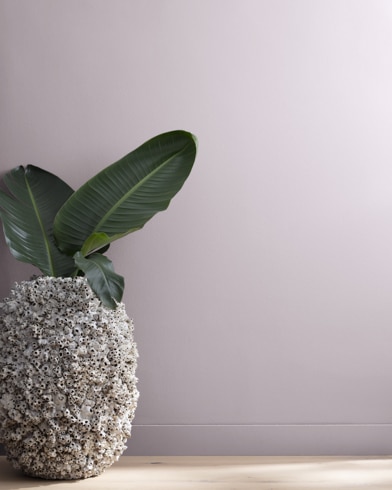 Painted wall with Dusk to Dawn 1446