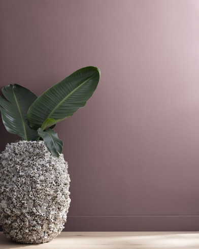 Painted wall with Pinch of Spice 1449