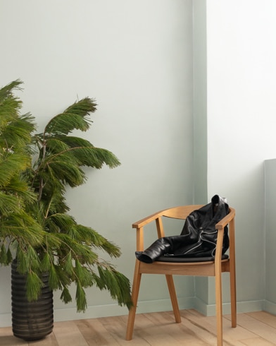 Painted wall with Horizon 1478