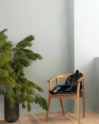 Painted wall with Alaskan Husky 1479