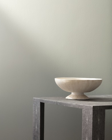 Painted walls with Brushed Aluminum 1485