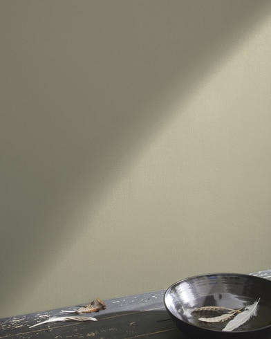 Painted wall with Cheyenne Green 1502