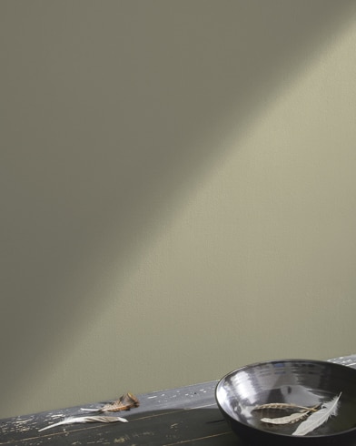 Painted wall with Texas Sage 1503