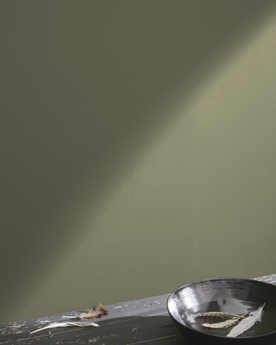 Painted wall with Passion Vine 1504