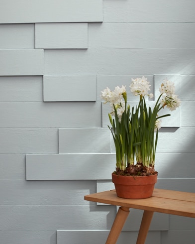 Painted wall with Silver Lake 1598