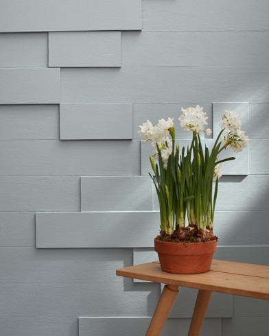 Painted wall with Marina Gray 1599