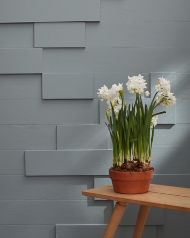 Painted wall with Hearthstone 1601