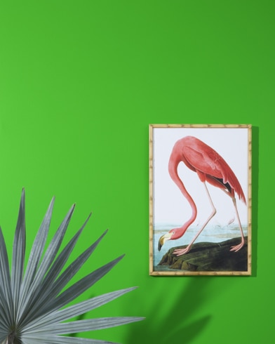 Tropical Seaweed Gre…