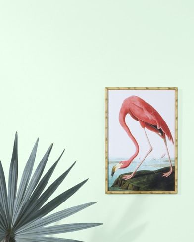 Sweet Honeydew Melon