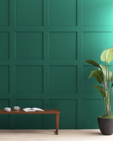 Painted wall with Fiddlehead Green 2041-20