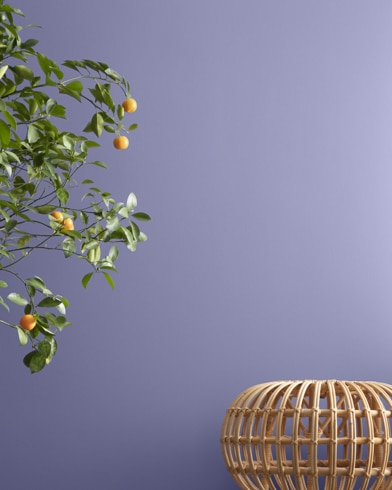 Painted wall with Violet Stone 2069-40