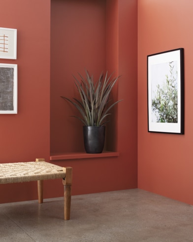 A wooden bench in front of a Rosy Peach-painted wall with art and an inset shelf featuring a houseplant.