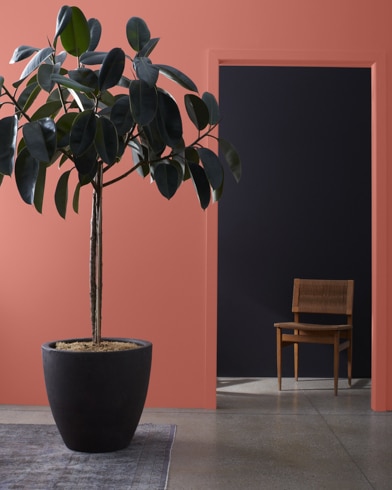 Large houseplant in front of a Wild Flower-painted wall, leading to a dark hallway with a wooden chair.