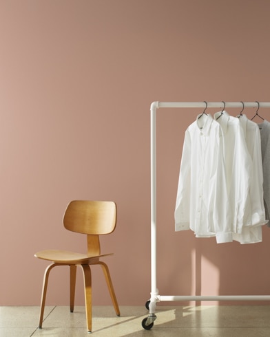 Painted walls with Gaucho Brown 2096-40