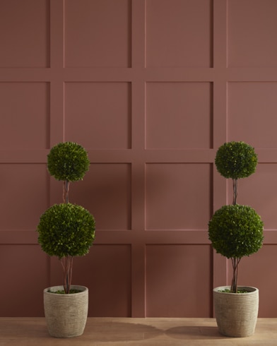 Painted wall with Pueblo Brown 2102-30