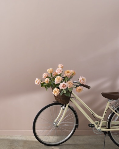 Painted walls with Driftscape Tan 2106-50