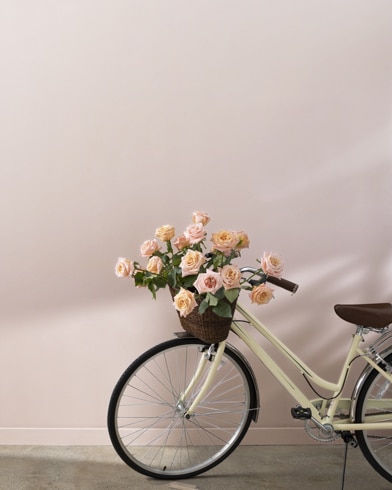 Painted walls with Soft Sand 2106-60