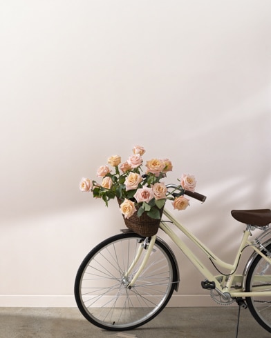 Painted walls with Foggy Morning 2106-70