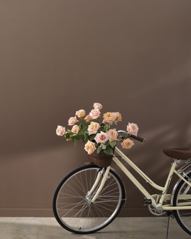 Painted walls with Rockies Brown 2107-30