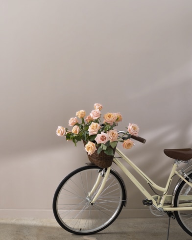 Painted walls with Sandlot Gray 2107-50