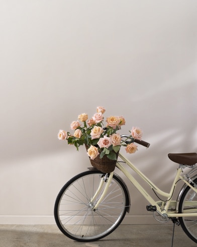 Painted walls with Sea Froth 2107-60