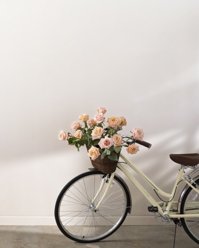 Painted walls with Cloudy Gray 2107-70