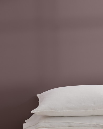 Painted wall with Amazon Soil 2115-30