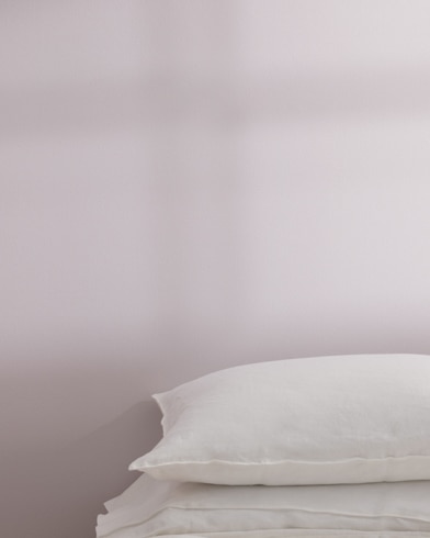 Painted wall with Iced Mauve 2115-50