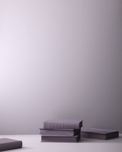 Painted wall with African Violet 2116-50