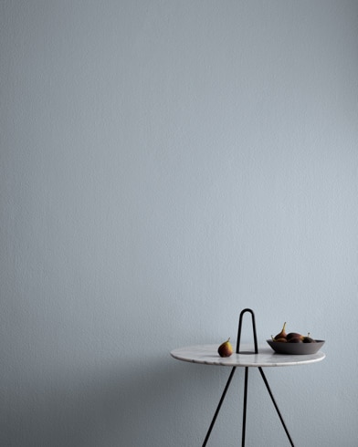 Painted wall with Nickel 2119-50