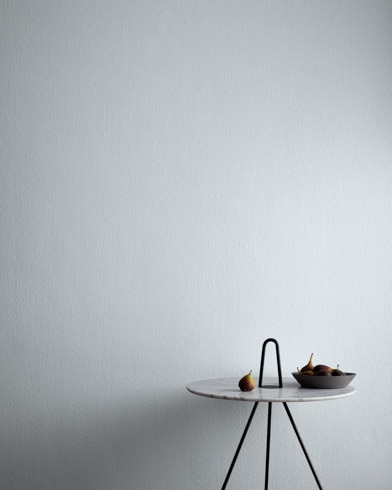 Painted wall with Silver Lining 2119-60