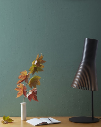 Painted wall with Caribbean Teal 2123-20